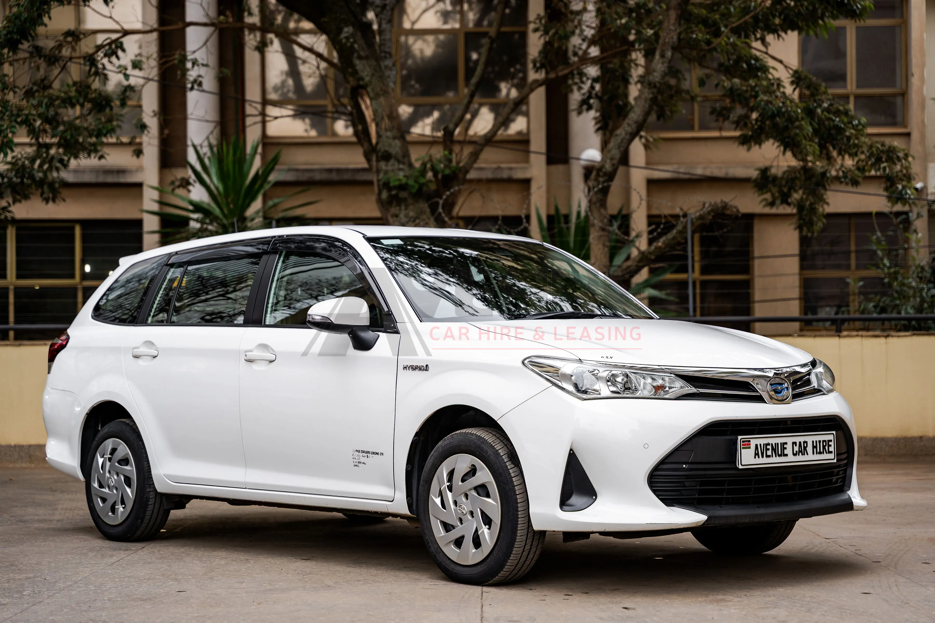 Fielder - 2016 Onwards