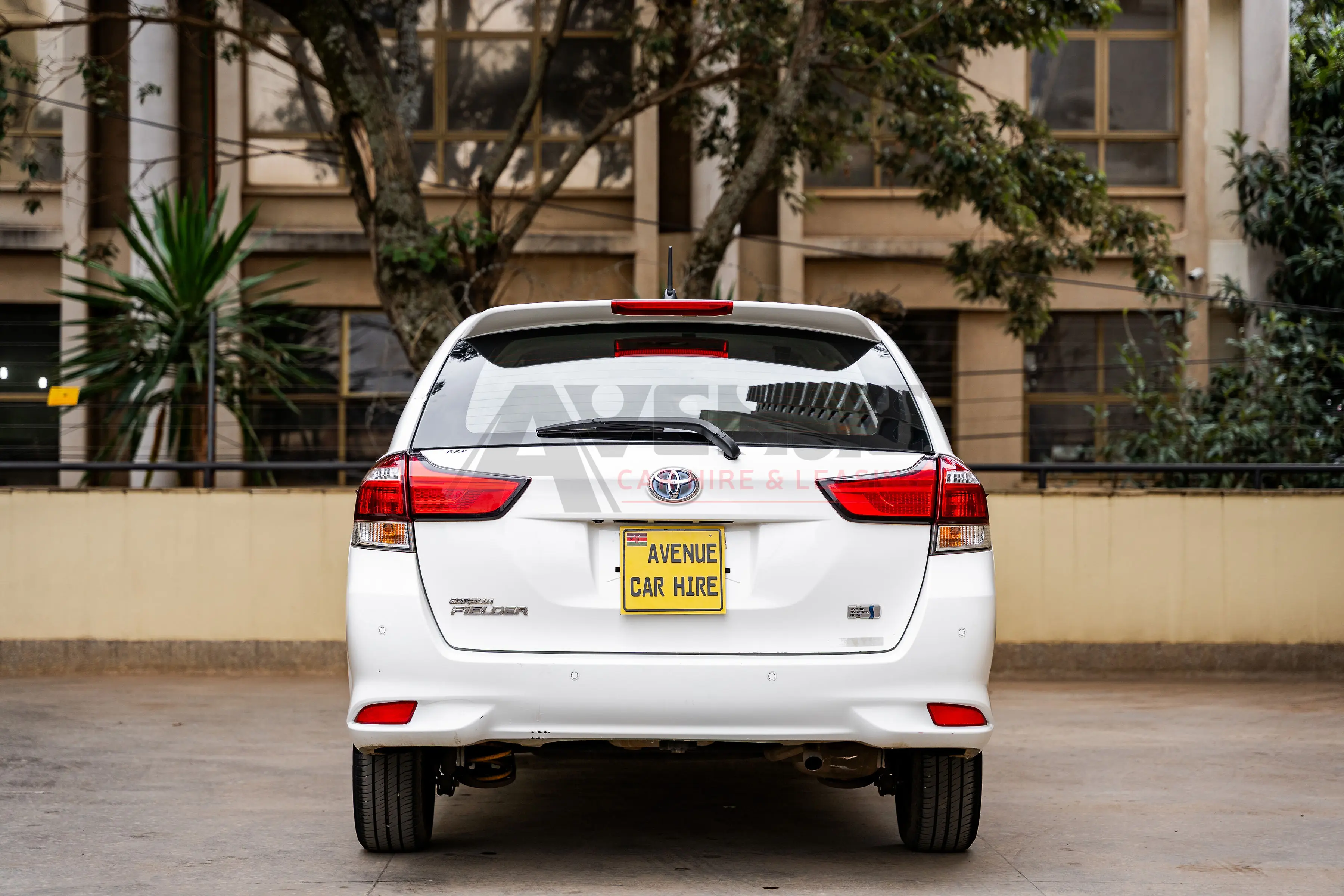 Fielder - 2016 Onwards