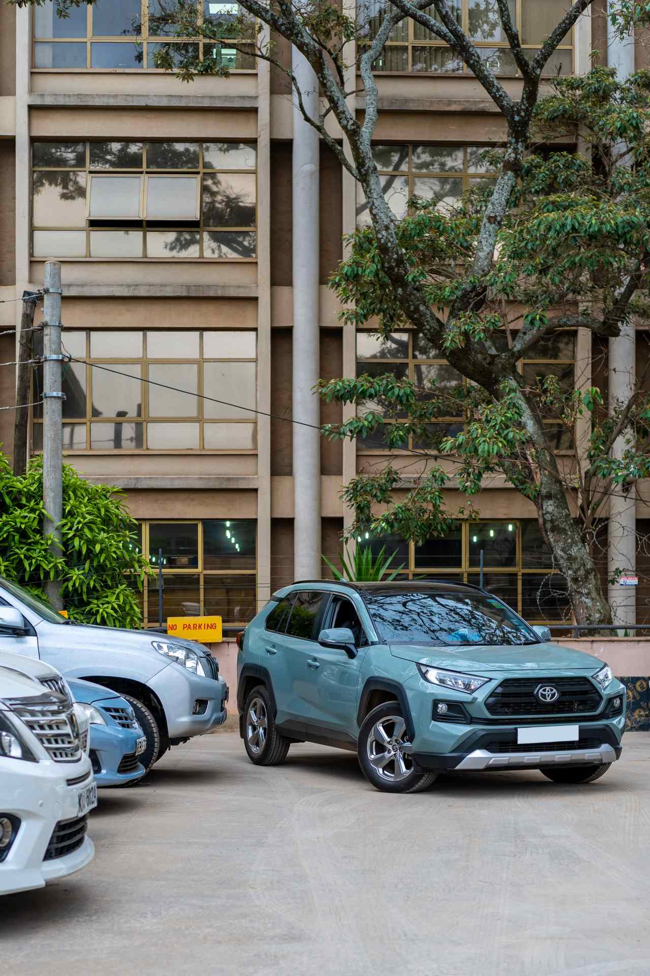 Car Rental Companies